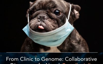 Webinar Alert: From Clinic to Genome: Collaborative Discovery of a Novel Castellaniella Species in a Fatal Canine Infection