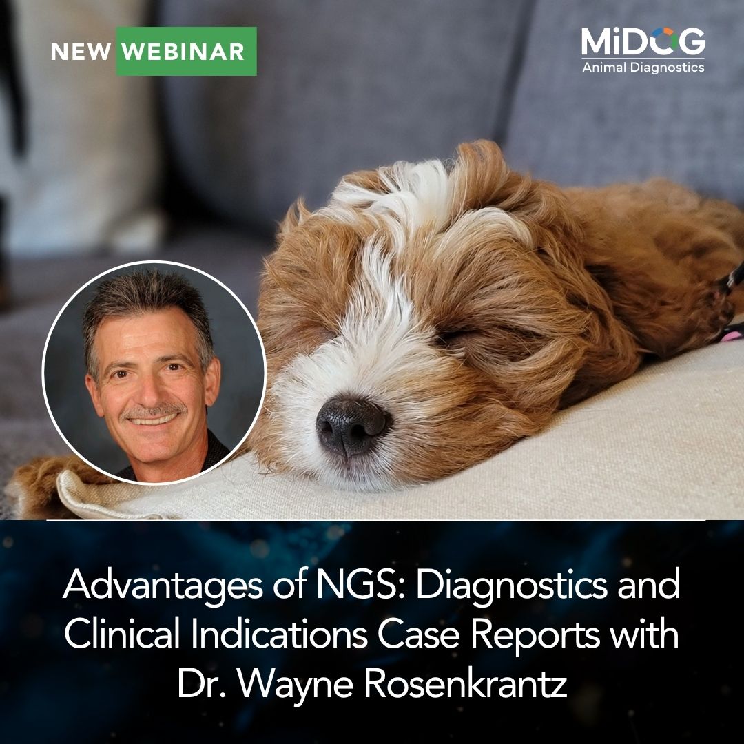 Canine Infection Cases: Culture vs. NGS