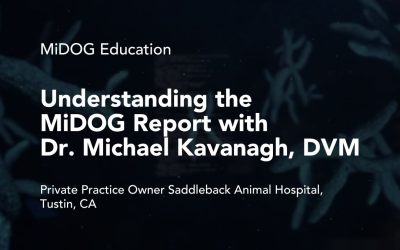 How to Read the MiDOG Report: Dr. Michael Kavanagh Breaks It Down for Vets & Pet Experts