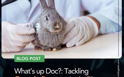 What’s up Doc?: Tackling Encephalitozoon cuniculi in Rabbits