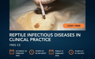 Free Live Webinar – Reptile Infectious Diseases in Clinical Practice
