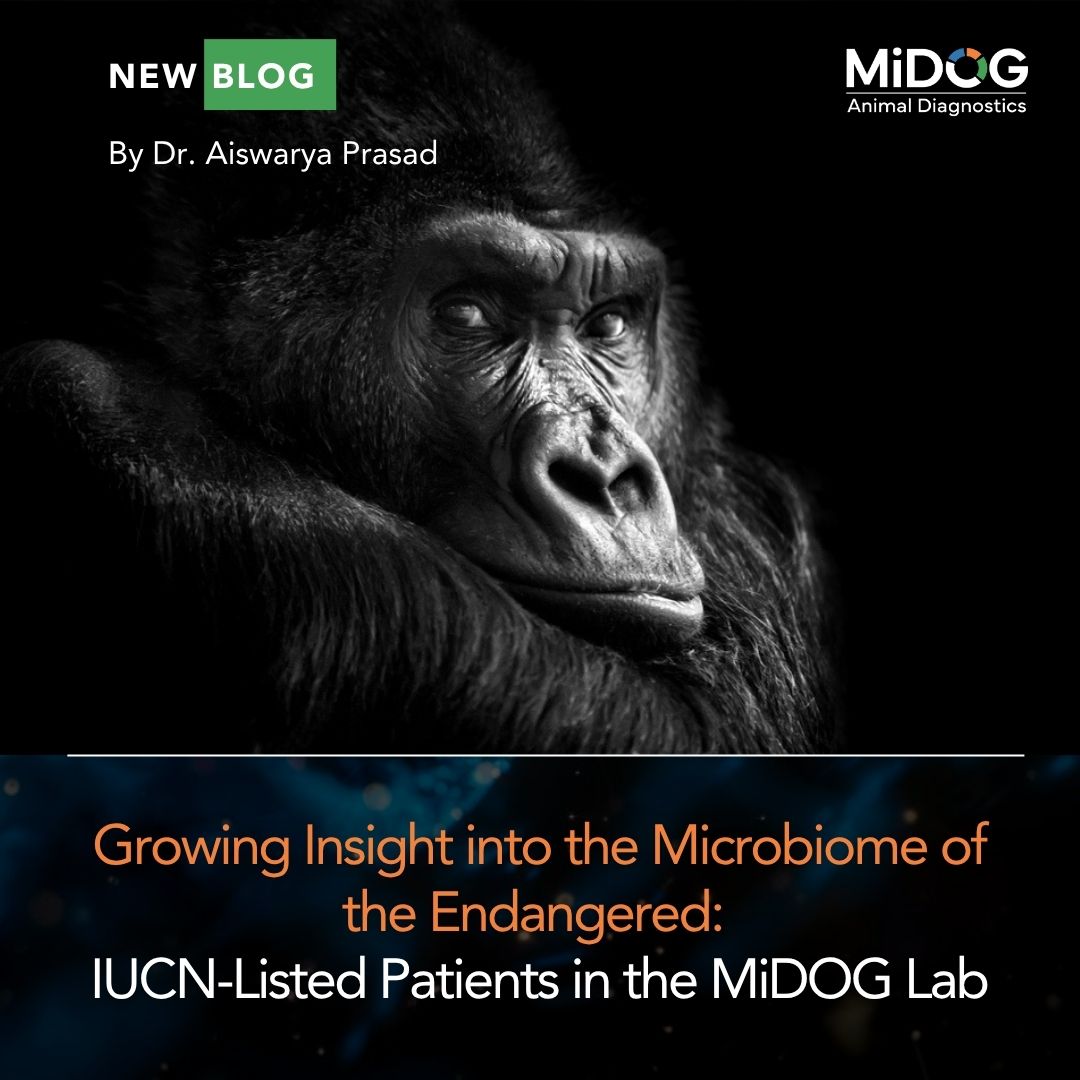 Growing Microbial Insight for Endangered Species Care