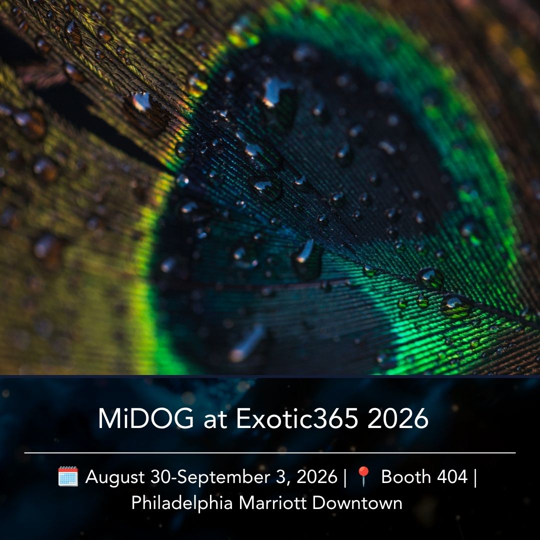 MiDOG at Exotic365 2026