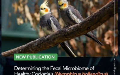 Determining the Fecal Microbiome of Healthy Cockatiels (Nymphicus hollandicus) Fed Seeds Versus Formulated Pelleted Diets by Next-Generation DNA Sequencing
