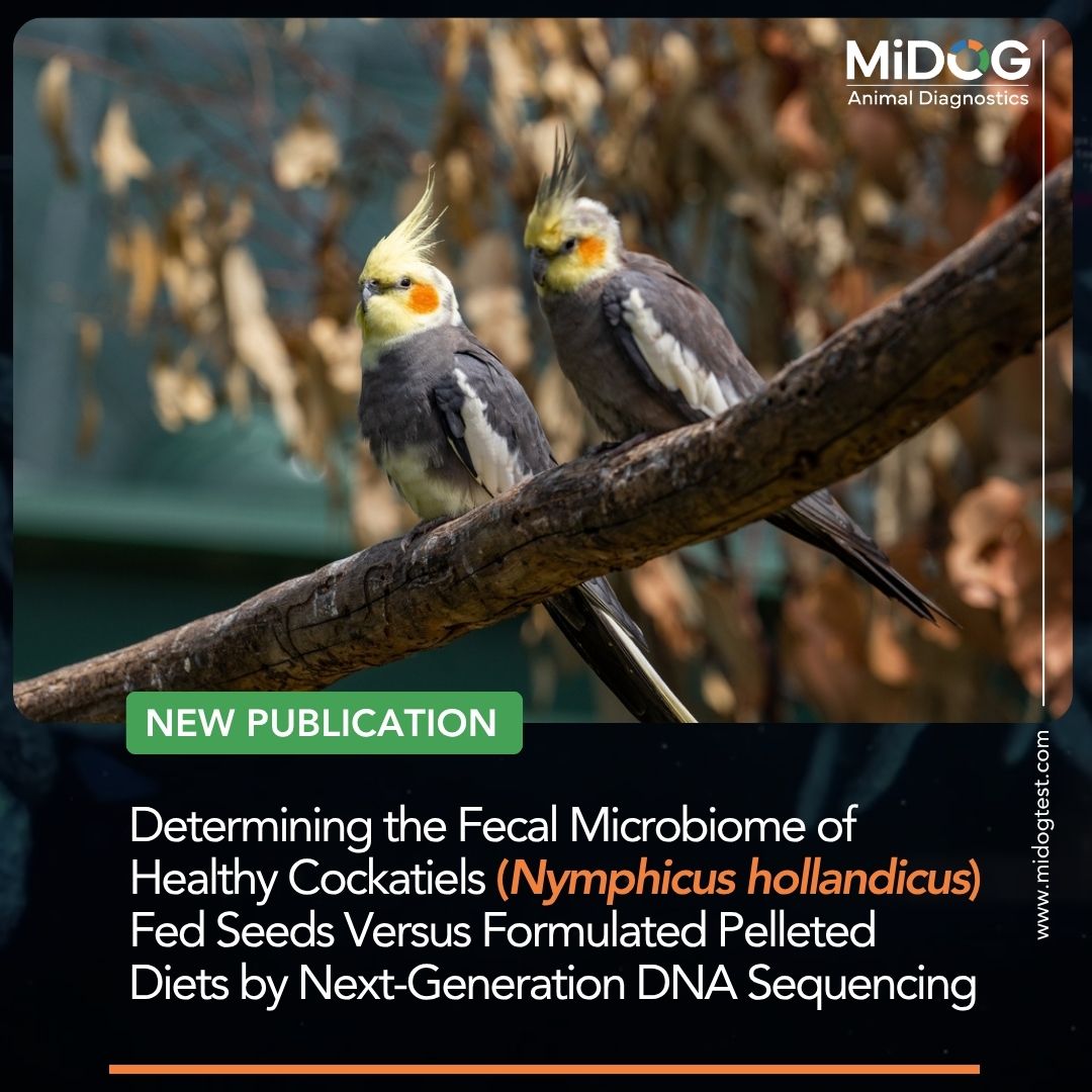 Determining the Fecal Microbiome of Healthy Cockatiels (Nymphicus hollandicus) Fed Seeds Versus Formulated Pelleted Diets by Next-Generation DNA Sequencing