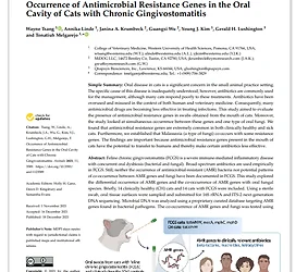 Hot off the Press – A new MiDOG Publication: Occurrence of Antimicrobial Resistance Genes in the Oral Cavity of Cats with Chronic Gingivostomatitis