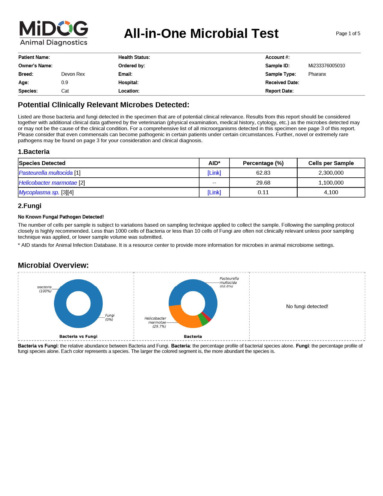 Feline-Example-Report