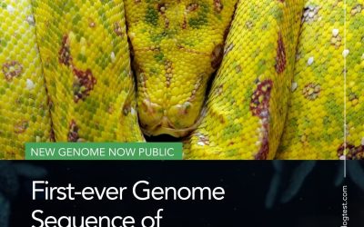 First Genome of Cryptosporidium serpentis Unlocks New Era in Exotic Animal Diagnostics