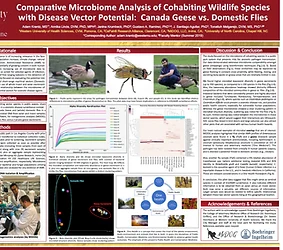 MiDOG Publication: Comparative Microbiome Analysis of Cohabiting Wildlife Species with Disease Vector Potential: Canada Geese vs. Domestic Flies