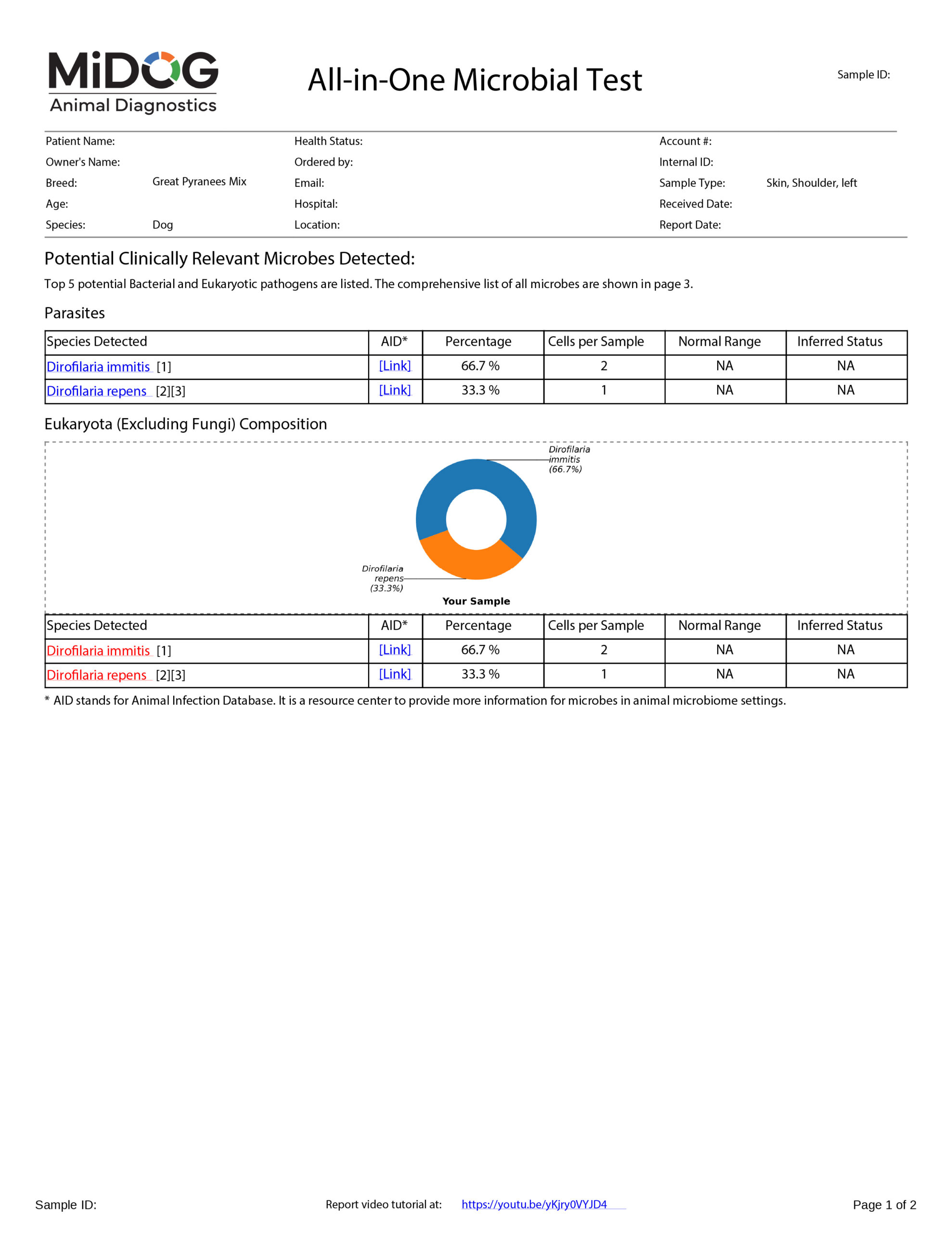 Heartworm Example MiDOG Report Example MiDOG All-in-One Microbial Test report for a dog skin sample showing parasite detection results, including Dirofilaria immitis and Dirofilaria repens.