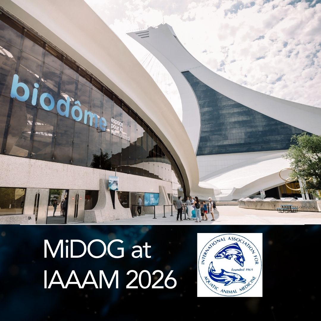 MiDOG at IAAAM 2026 MiDOG at IAAAM 2026 event graphic featuring the Montréal Biodome and International Association for Aquatic Animal Medicine logo for the upcoming conference.