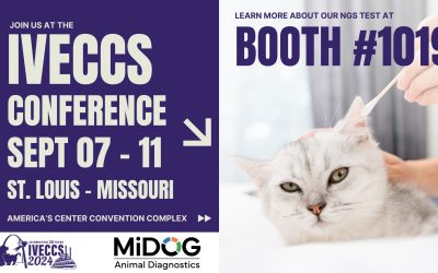 IVECCS Conference
