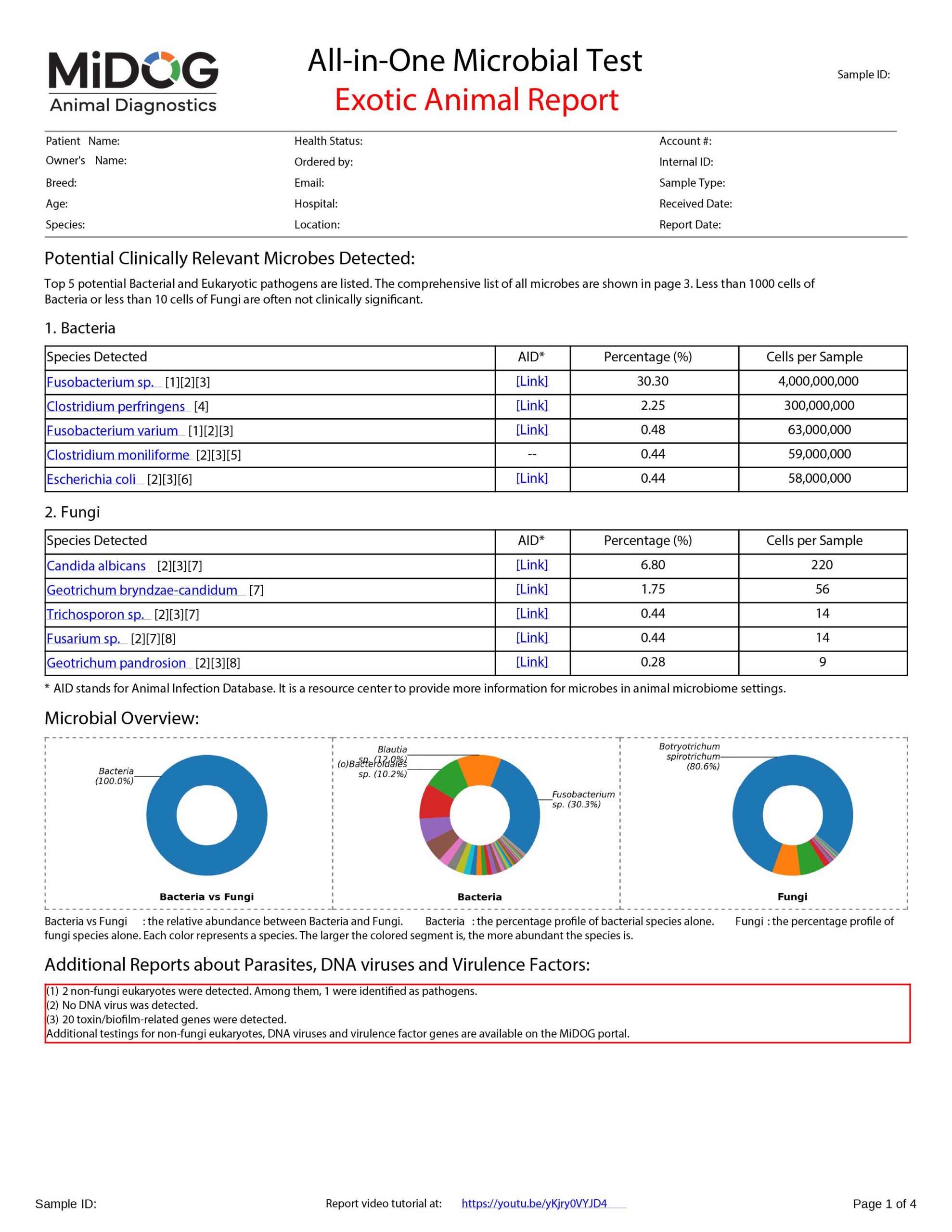 Lion Example Report | MiDOG Exotic Animal Report Example MiDOG All-in-One Microbial Test report for a lion case, showing bacterial and fungal findings, microbial overview charts, and additional report findings for parasites, DNA viruses, and virulence factors.