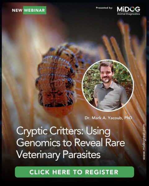 Promotional graphic for MiDOG’s webinar, “Cryptic Critters: Using Genomics to Reveal Rare Veterinary Parasites,” presented by Dr. Mark A. Yacoub, PhD, featuring a close-up parasite image and a call-to-action to register.
