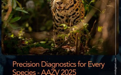 MiDOG at AAZV 2025