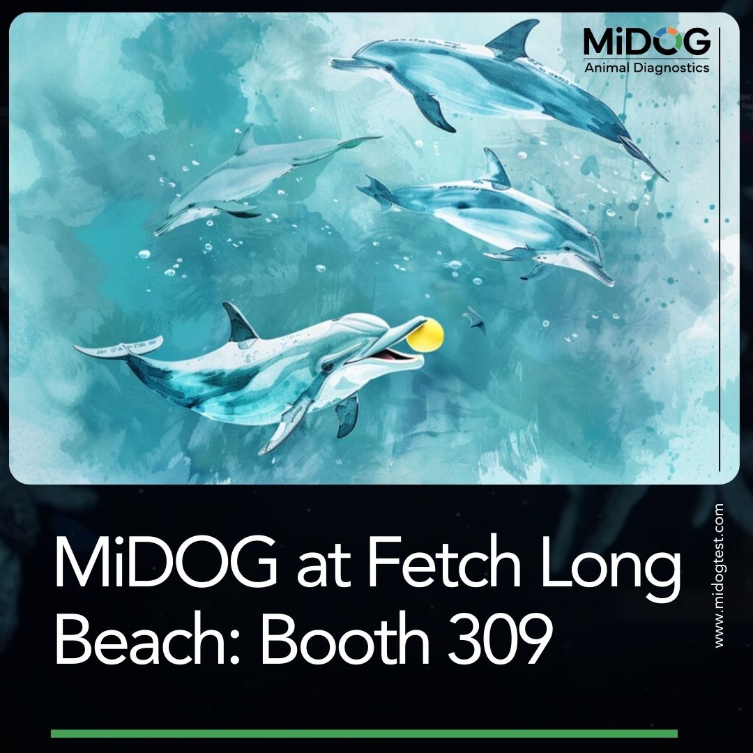MiDOG at Fetch Long Beach 2025