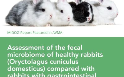 Assessment of the fecal microbiome of healthy rabbits (Oryctolagus cuniculus domesticus) compared with rabbits with gastrointestinal disease using next-generation DNA sequencing