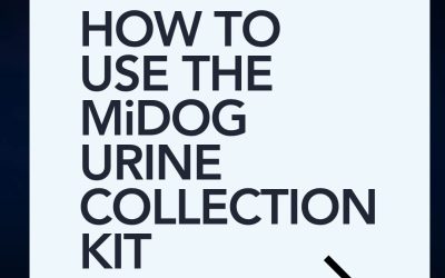 MiDOG Urine Collection Kit | Step-by-Step Guide for Veterinarians
