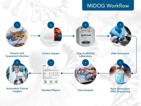 How MiDOG Works - Midog Testing