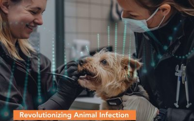 MiDOG’s Next-Generation Sequencing (NGS) is Revolutionizing Animal Infection Testing and Combating Antibiotic Resistance