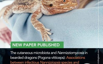 The Cutaneous Microbiota and Nannizziomycosis in Bearded Dragons