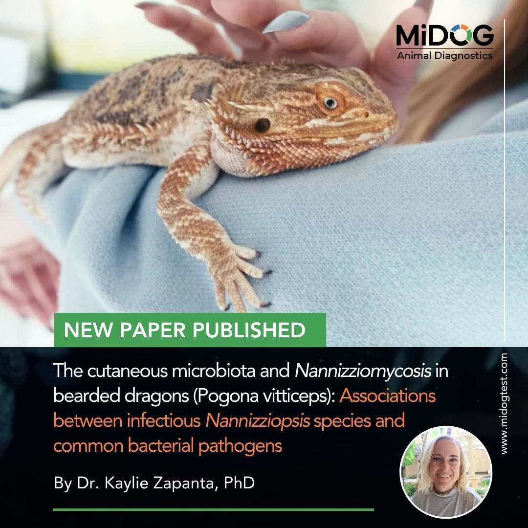 The Cutaneous Microbiota and Nannizziomycosis in Bearded Dragons ...