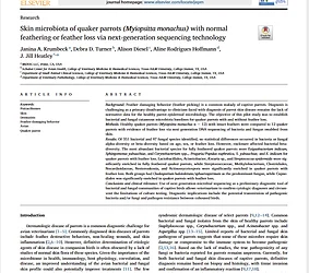 Skin microbiota of quaker parrots (Myiopsitta monachus) with normal feathering or feather loss via next-generation sequencing technology.News from MiDOG, just published in the  Journal of Exotic Pet Medicine! 
