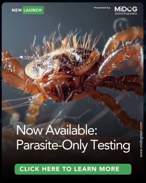 MiDOG website pop-up announcing the launch of parasite-only testing, featuring a close-up parasite image, MiDOG branding, and a call-to-action to learn more.