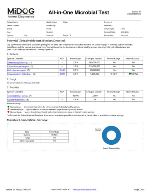 MiDOG Expanded Testing - Midog Testing
