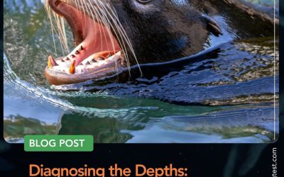 Diagnosing the Depths: How Next-Generation Sequencing Reveals Hidden Microbial Communities in Sea Lions with Abscesses