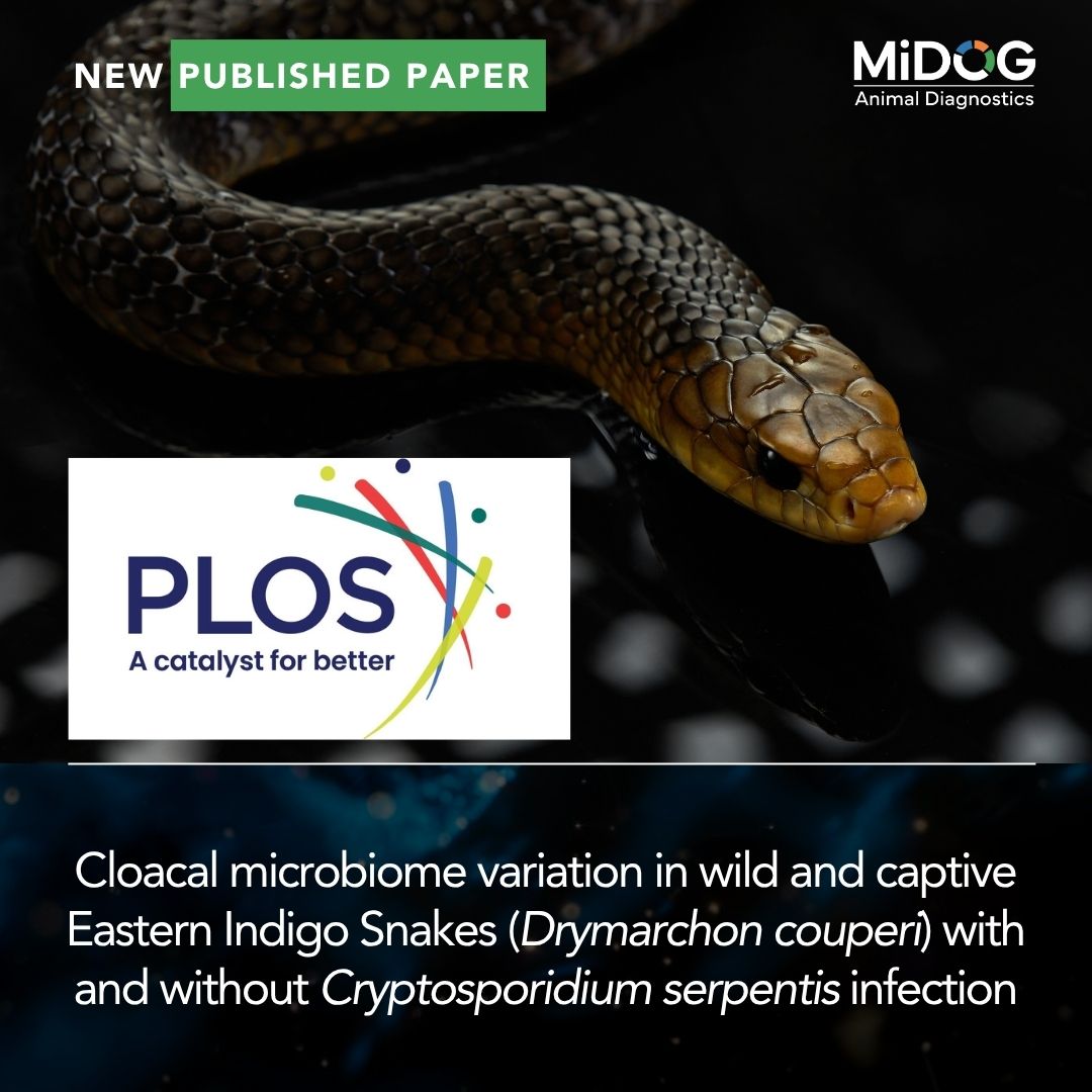 Eastern Indigo Snake Microbiome Study