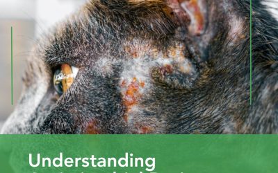 Understanding Antimicrobial Resistance in Fungal Infections
