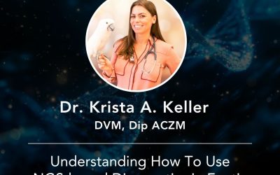 Webinar: Understanding How To Use NGS-based Diagnostics in Exotic Animal Medicine