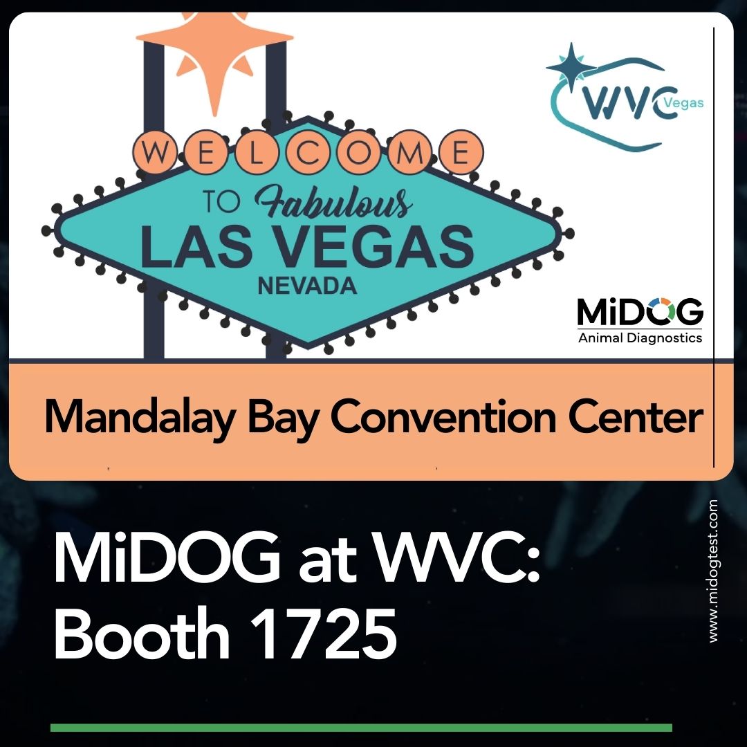 MiDOG At WVC Las Vegas 2026
