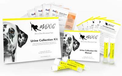 MiDOG® Announces All-in-One Microbial Test for Urinary Tract Infection Testing