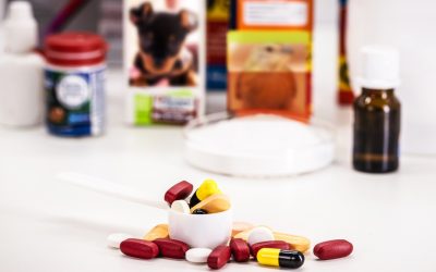 The Importance of Considering Antimicrobial Resistance When Treating Animals