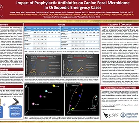 MiDOG Publication: Impact of Prophylactic Antibiotics on Canine Fecal Microbiome in Orthopedic Emergency Cases