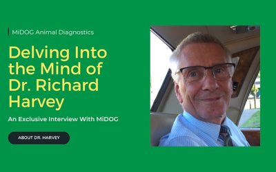 Benefits of Next-Generation Sequencing in Veterinary Dermatology, According to Dr. Richard Harvey