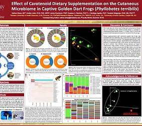 MiDOG Publication: Effect of Carotenoid Dietary Supplementation on the Cutaneous Microbiome in Captive Golden Dart Frogs (Phyllobates terribilis)