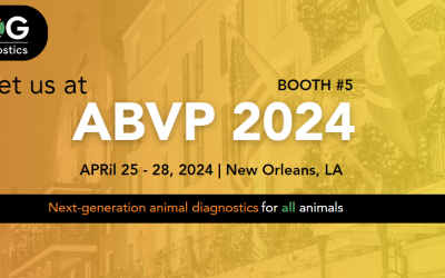 Meet us at ABVP 2024
