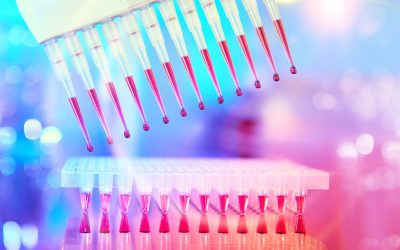 Unlock the Power of Next-Generation Sequencing in Veterinary Diagnostics