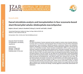 Published by the MiDOG Team: Faecal microbiota analysis and transplantation in four oceanaria-based short-finned pilot whales Globicephala macrorhynchus