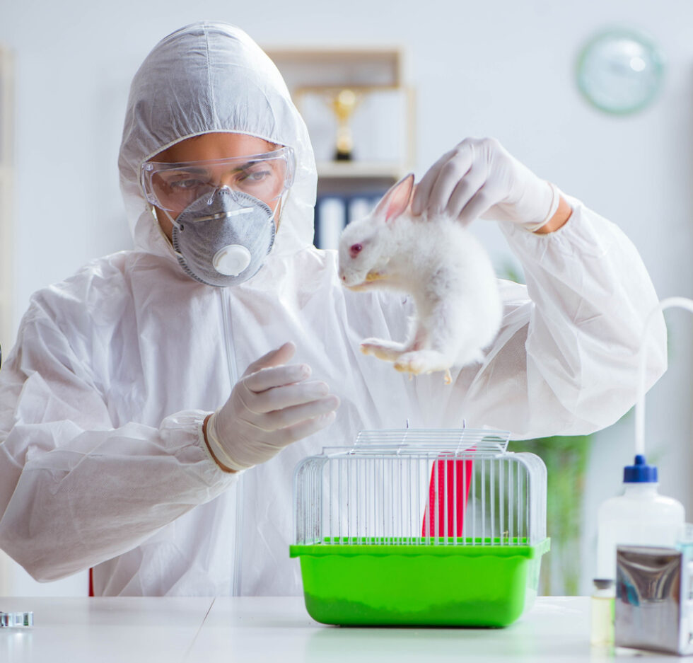 Lab Animals Diagnostics - Midog Testing