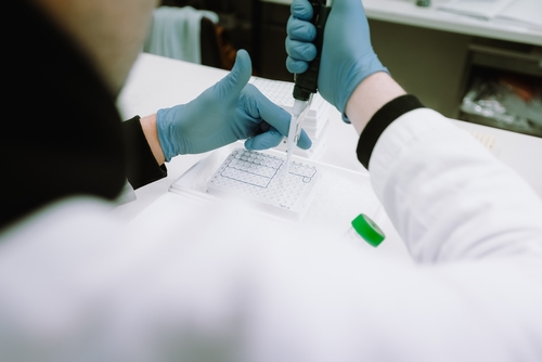 Laboratory technician processing a sample, representing MiDOG’s All-in-One workflow for generating microbial insight from diverse endangered species sample types.